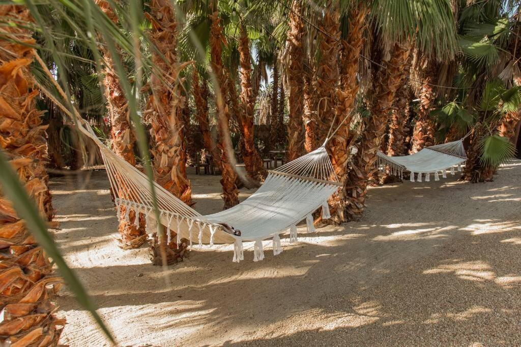 Cien Palmas- Authentic Mexican Casita 3 -Downtown Todos Santos Zewnętrze zdjęcie